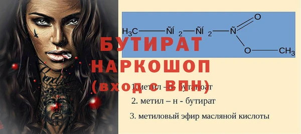индика Володарск