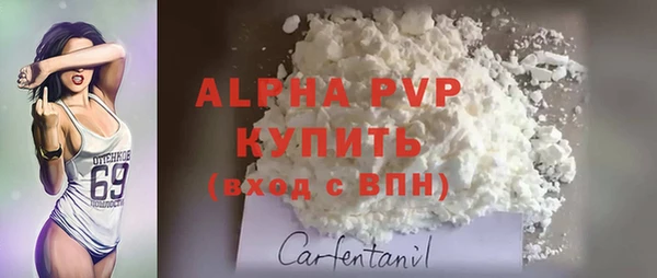 индика Володарск