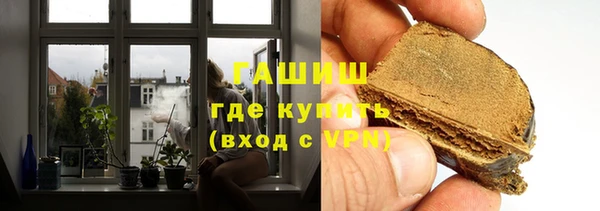 индика Володарск