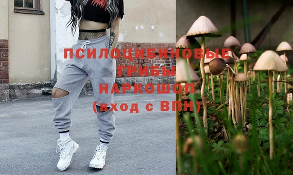 индика Володарск