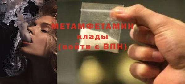 индика Володарск