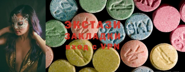 индика Володарск