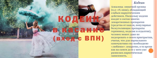 индика Володарск