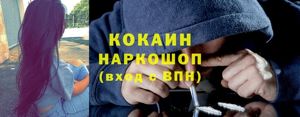 индика Володарск