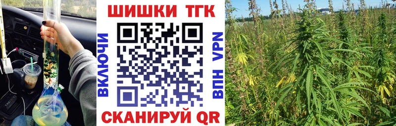 Бошки марихуана индика  это наркотические препараты  Макарьев 
